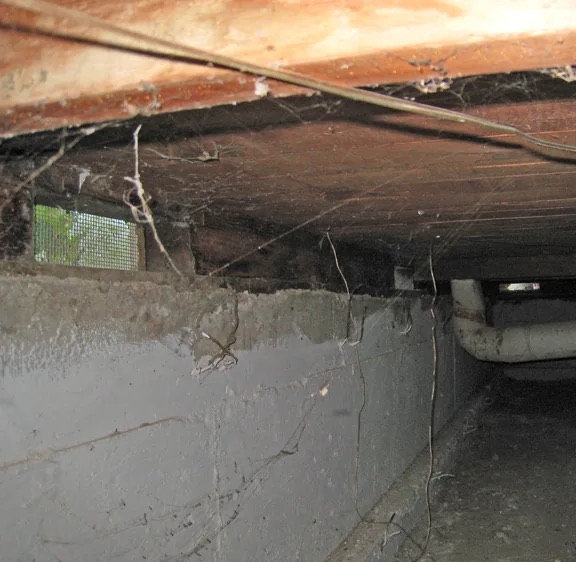Crawlspace Mold Remediation in North Decatur, GA
