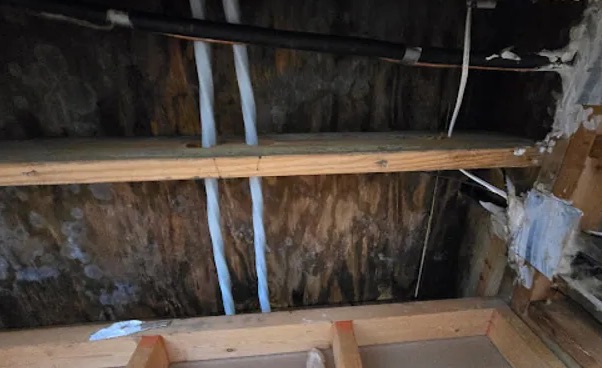 Attic Water Damage Restoration in Clarkston, GA