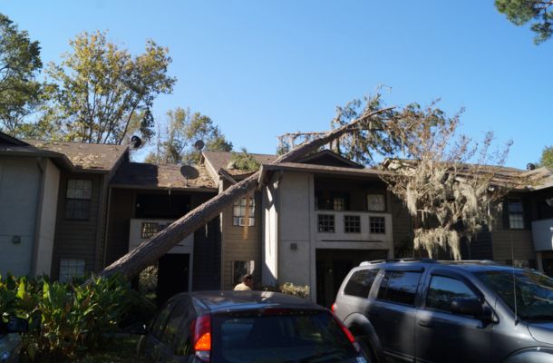 Storm Damage Restoration Lawrenceville, Georgia